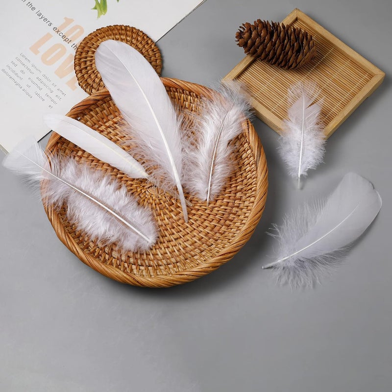 Larryhot White Craft Feathers Bulk - 240pcs 6 Style Mixed Natural Feathers for Wedding Home Party, Dream Catcher Supplies and DIY Crafts (White) - Image 5